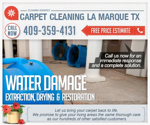 Carpet Cleaning La Marque TX — photo from the business 4