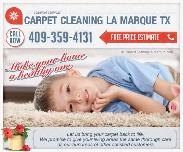 Carpet Cleaning La Marque TX — photo from the business 3