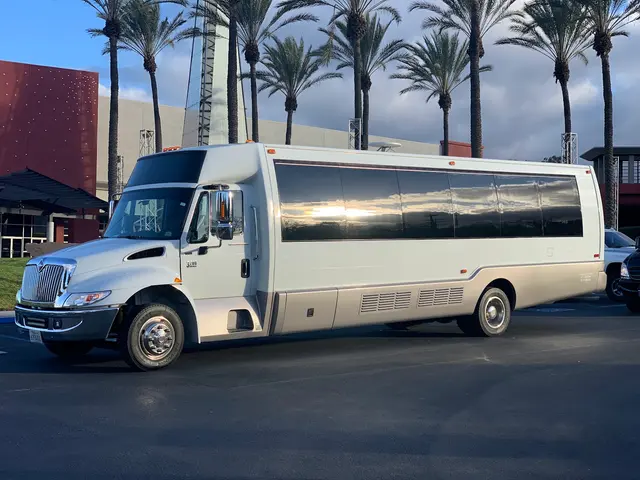 The Perfect Limo and Sedan — photo from the business 4