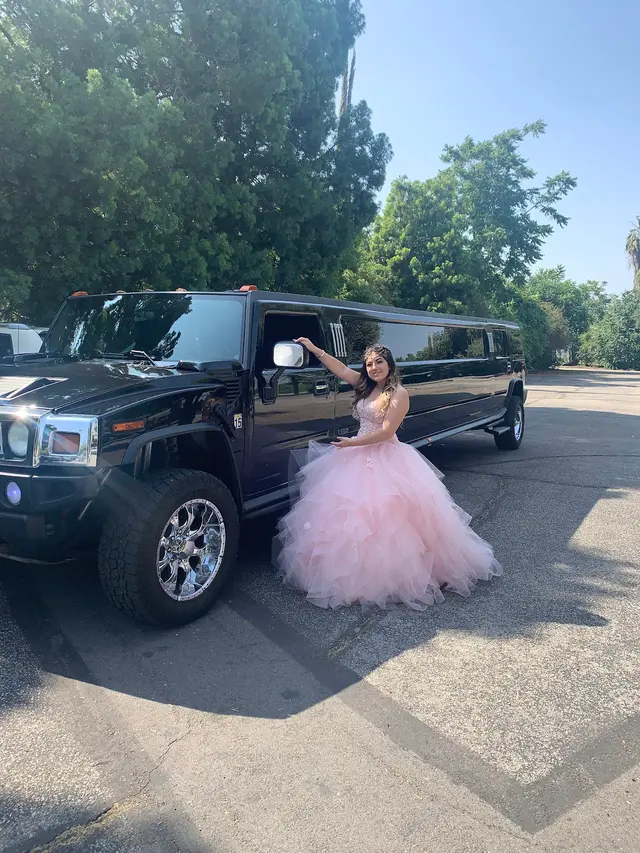 The Perfect Limo and Sedan — photo from the business 11