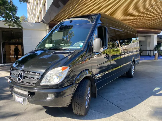 The Perfect Limo and Sedan — photo from the business 2