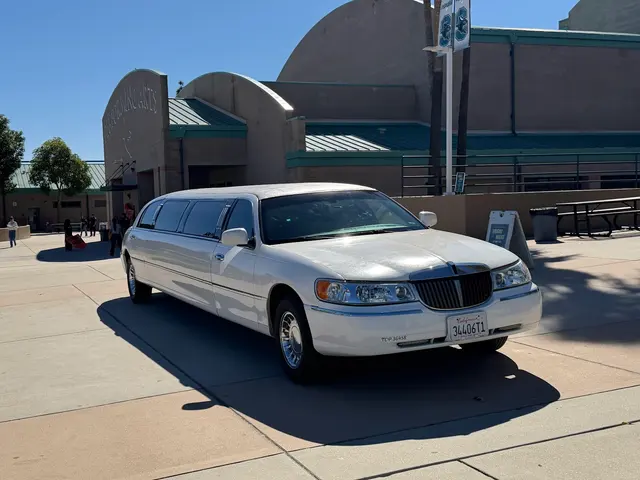 The Perfect Limo and Sedan — photo from the business 5