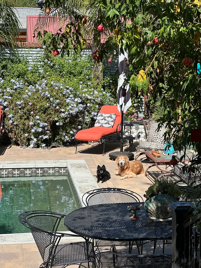 Paradise Pools, Inc. — customer photo 7