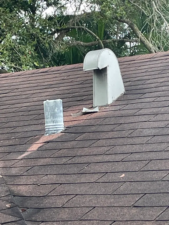 New Era Natural Pest Control — customer photo 11