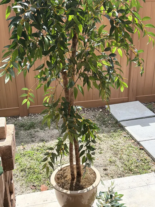 Customer photo from Diana's review