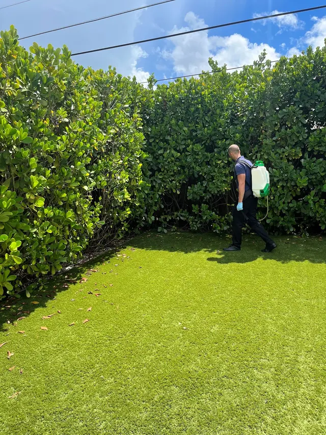 iPest Control Inc. - Pest Control in Miami FL and Broward FL — photo from the business 11