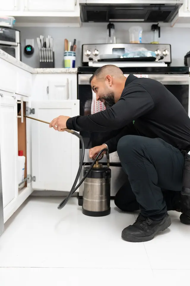 iPest Control Inc. - Pest Control in Miami FL and Broward FL — photo from the business 6