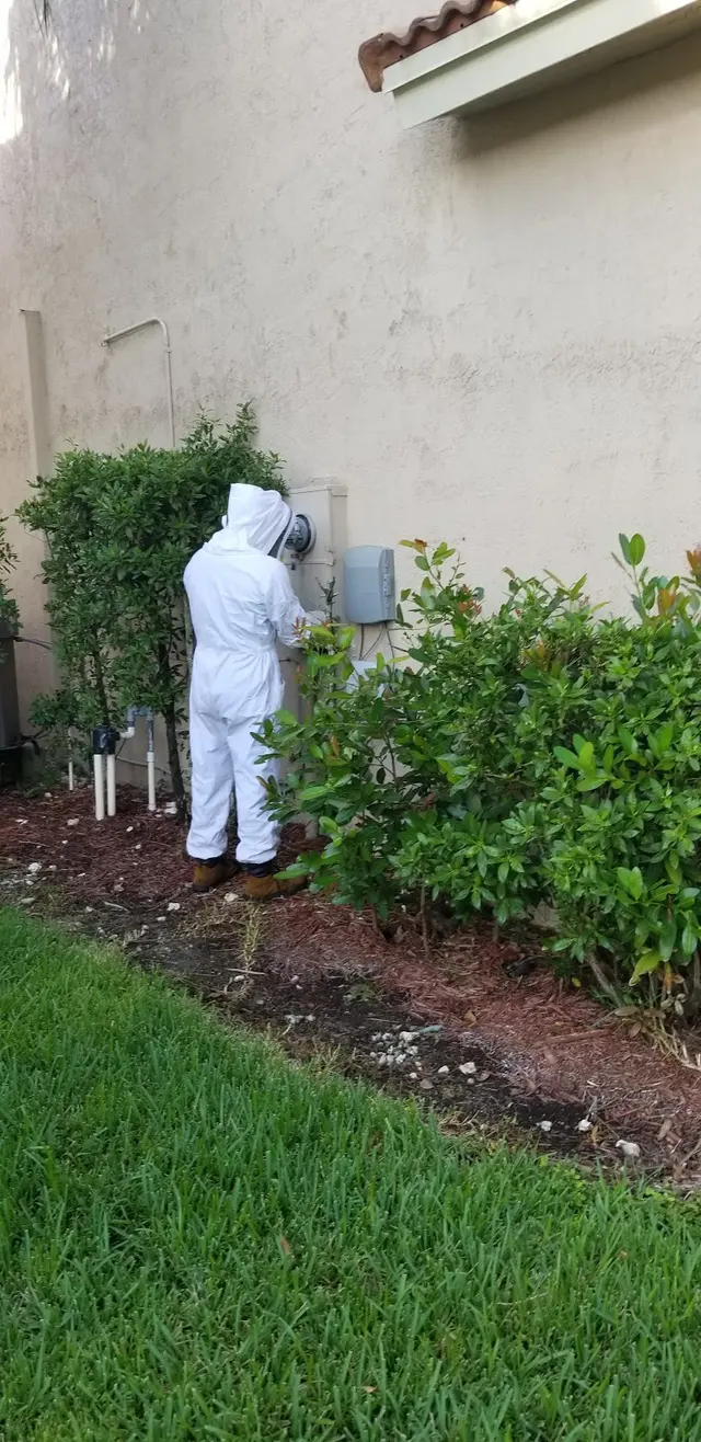 Trinity Pest Solutions — customer photo 7