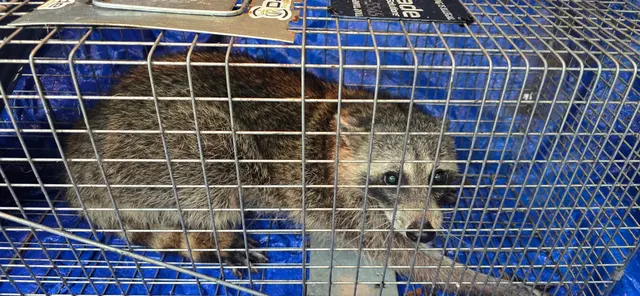 Dade Pest Solutions — photo from the business 11