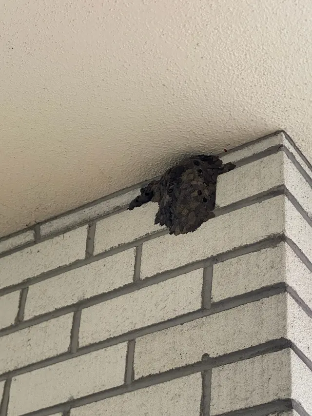 Dade Pest Solutions — photo from the business 10