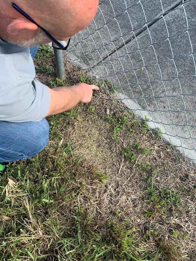 Dade Pest Solutions — customer photo 8