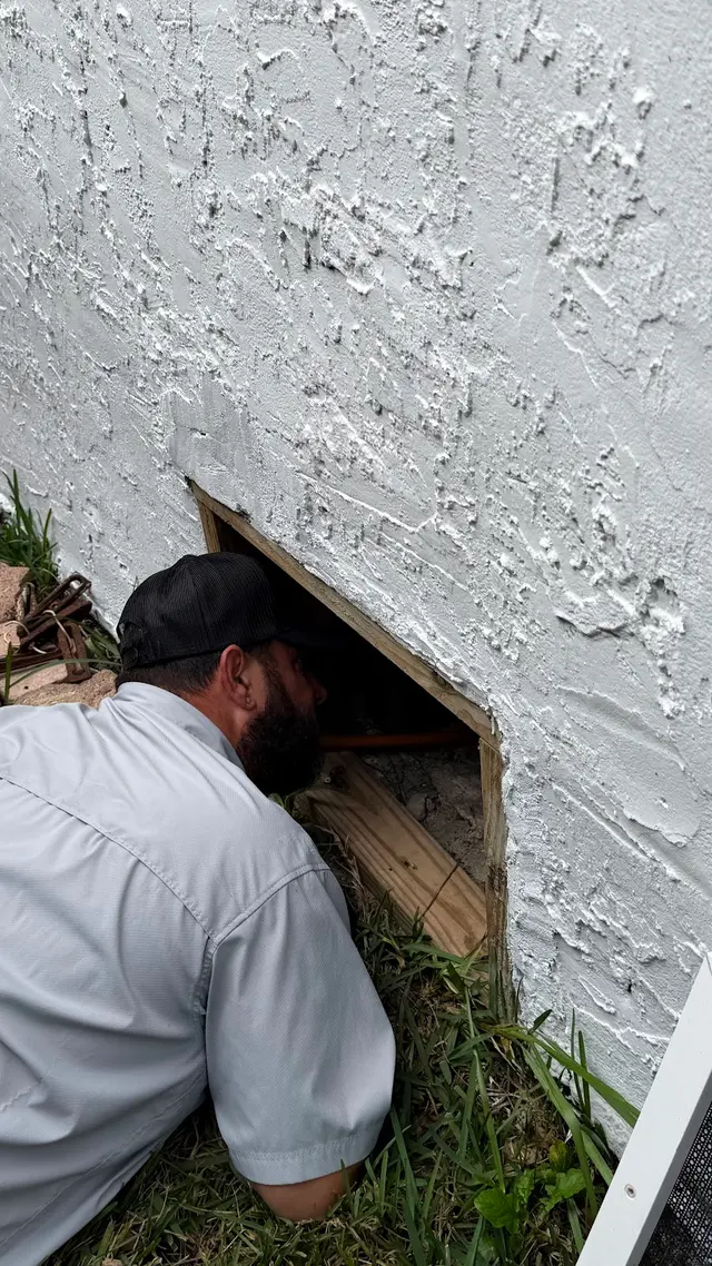 Green Titan Pest Management — photo from the business 9