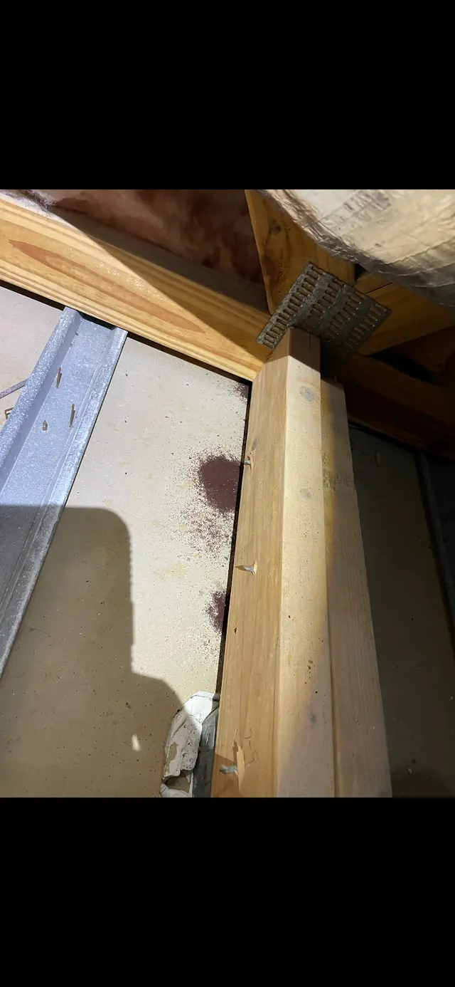 The Termite Guys — photo from the business 12