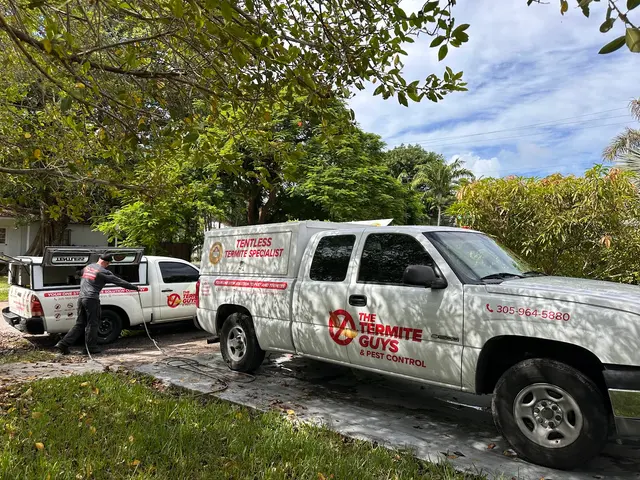 The Termite Guys — customer photo 5