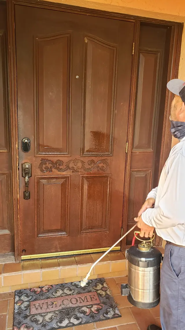 The Termite Guys — customer photo 6