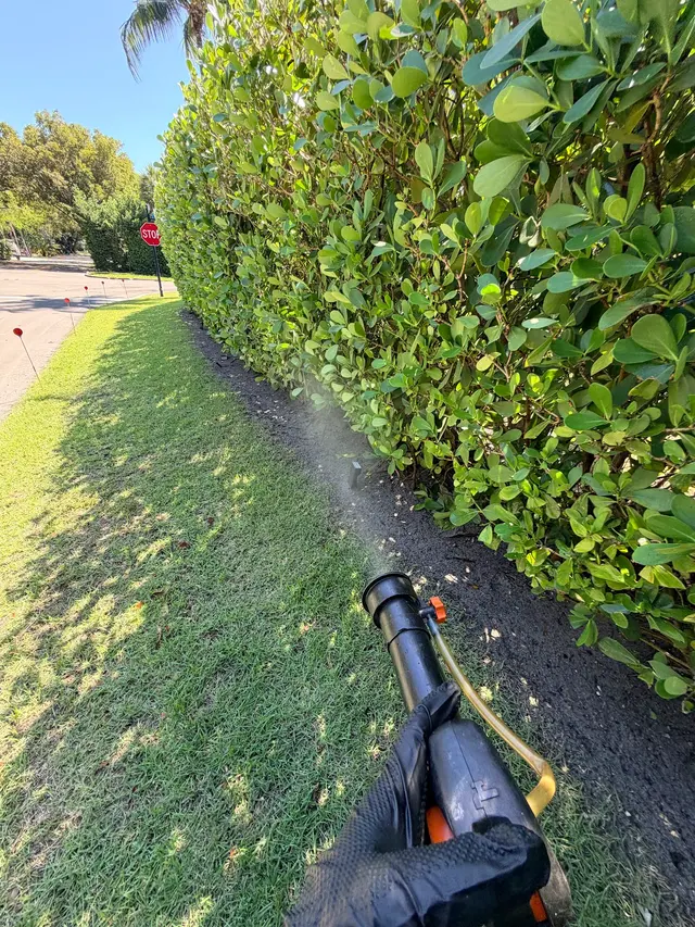 NaturePest Holistic Pest Control — customer photo 9