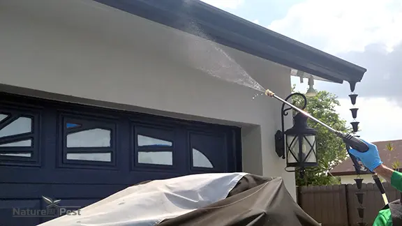 NaturePest Holistic Pest Control — photo from the business 12