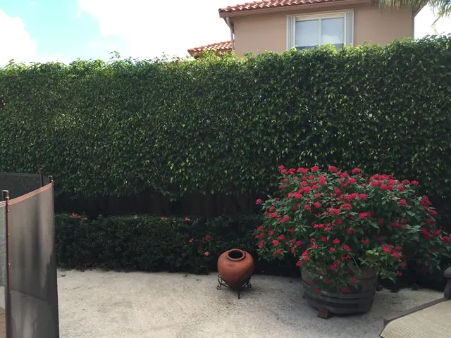 NaturePest Holistic Pest Control — photo from the business 7