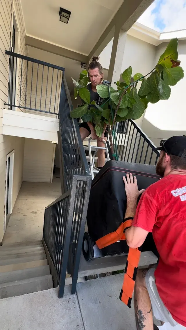 Common Sense Moving Company — photo from the business 9
