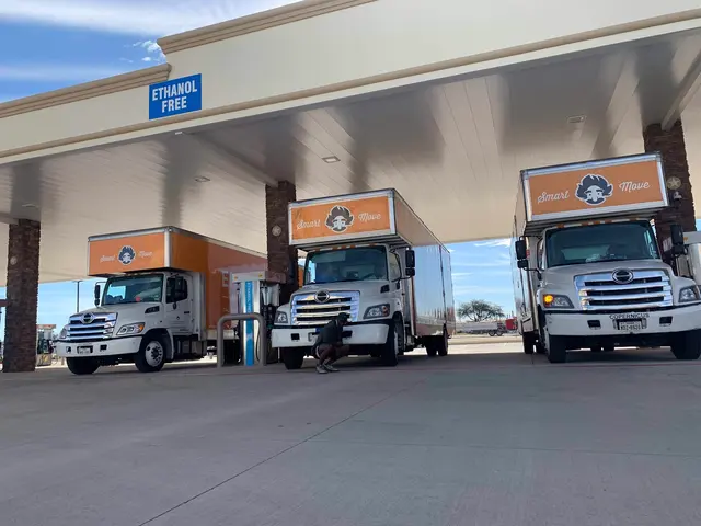Einstein Moving Company — photo from the business 3