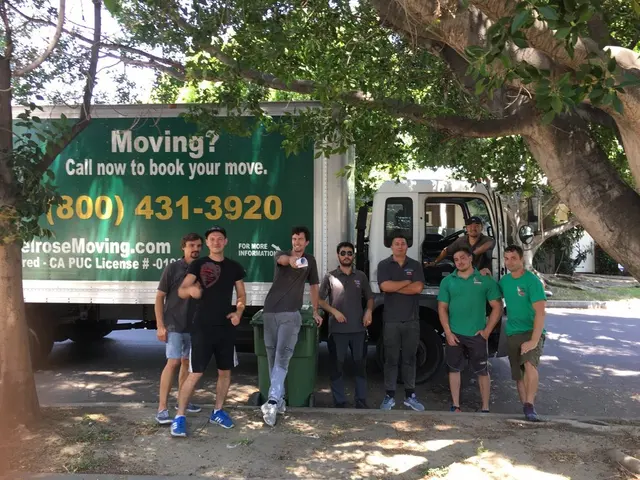 Melrose Moving — photo from the business 4