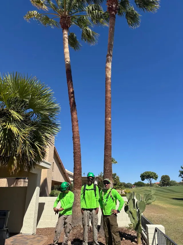 Top Notch Tree Service LLC — customer photo 3