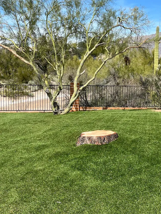 Top Notch Tree Service LLC — customer photo 4