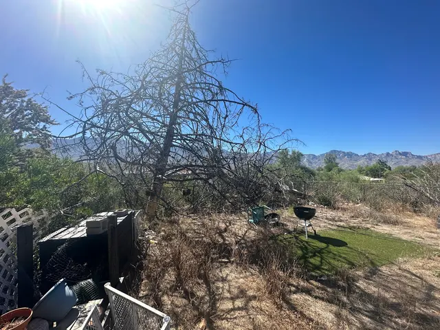 Top Notch Tree Service LLC — customer photo 8