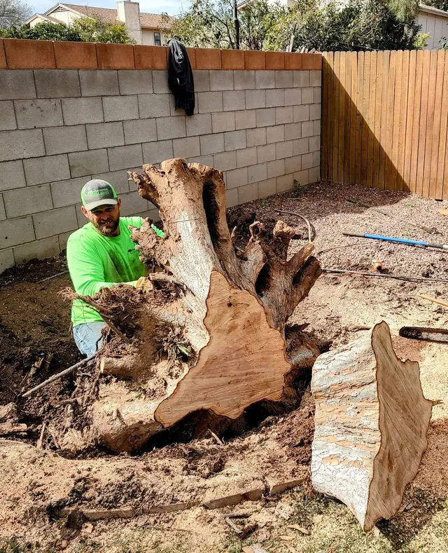 Top Notch Tree Service LLC — photo from the business 9