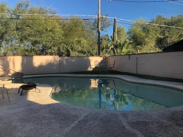 Top Notch Tree Service LLC — customer photo 12