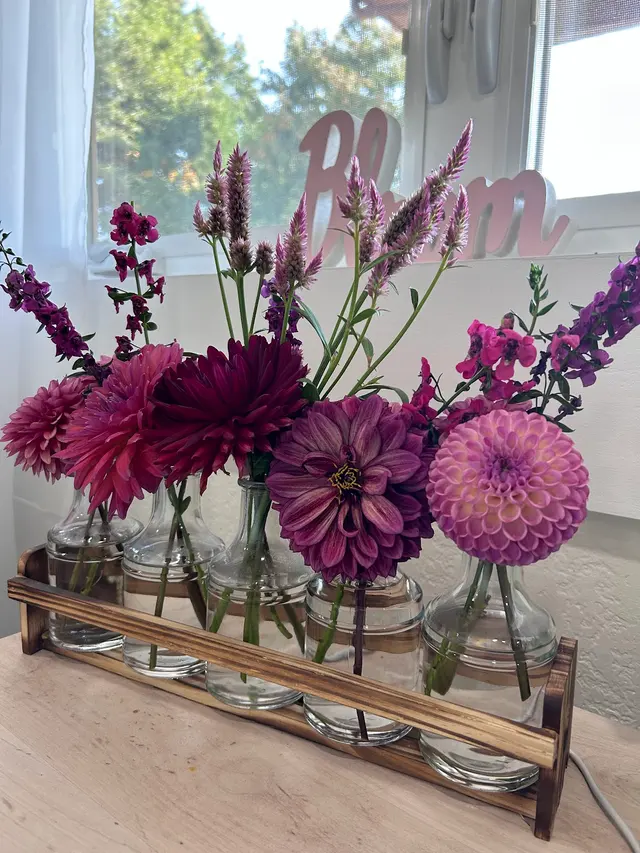 Bloom Beauty and Wellness — customer photo 4