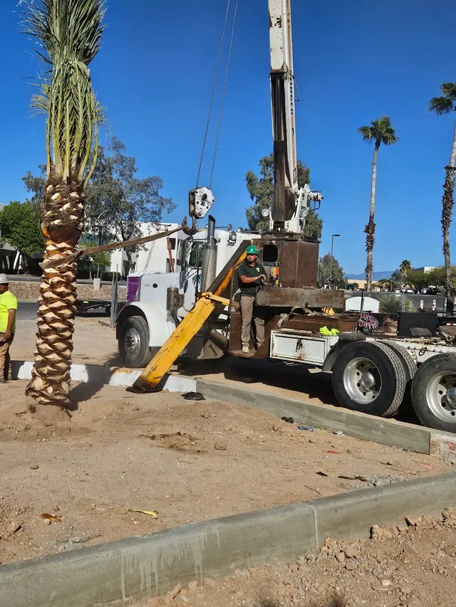 TC Tree Service LLC — photo from the business 6