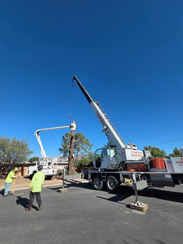 TC Tree Service LLC — photo from the business 2