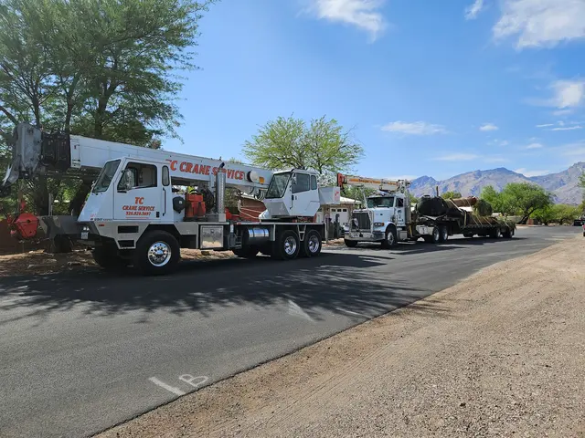TC Tree Service LLC — photo from the business 1