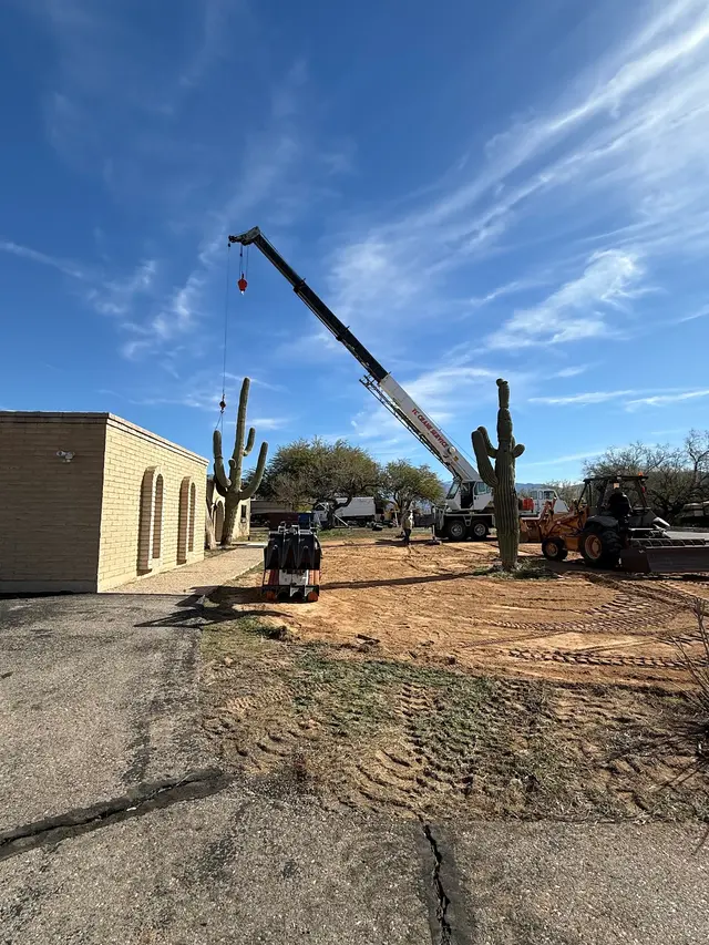 Customer photo of work by TC Tree Service LLC, from m squittieri's review