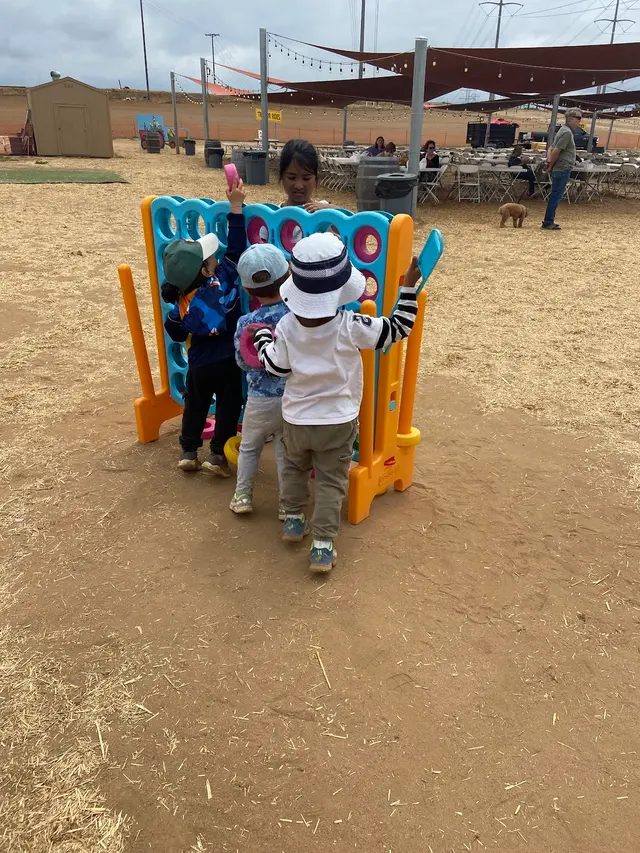 Montessori Home daycare — photo from the business 11