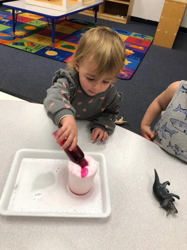 Pearl Montessori Preschool — photo from the business 4