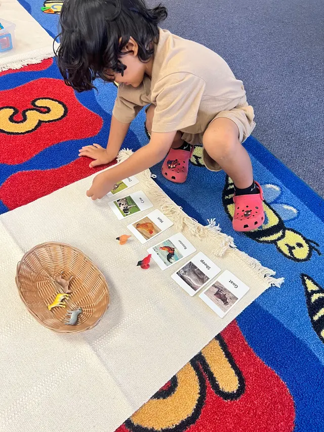 Pearl Montessori Preschool — photo from the business 8
