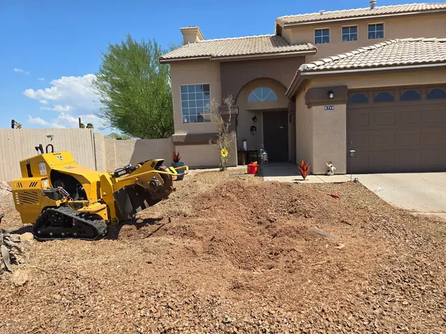 Highrise Tree Service Tucson, Tree Removal, Tree Trimming, Stump Grinding, Palm Tree Trimming — photo from the business 12