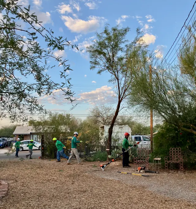 Finest Tree Service — customer photo 3