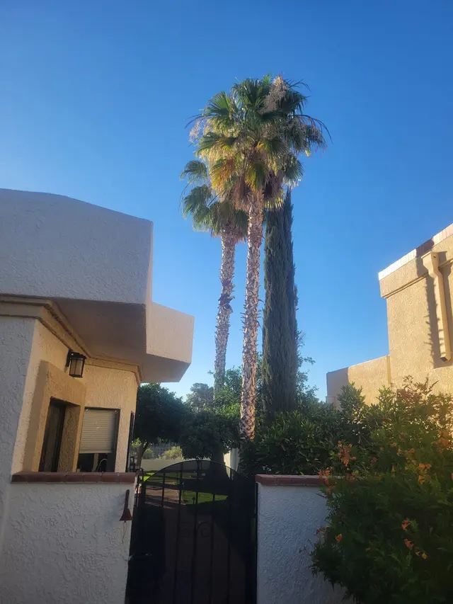 Finest Tree Service — photo from the business 5