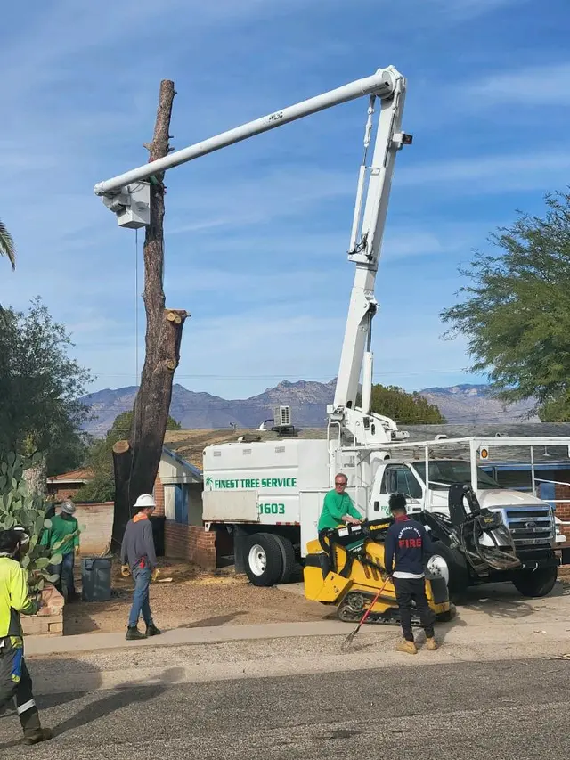 Finest Tree Service — photo from the business 7