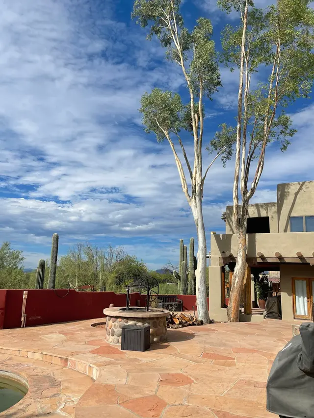 Finest Tree Service — customer photo 4
