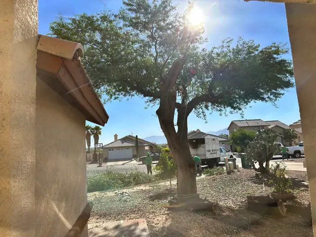 Finest Tree Service — customer photo 9