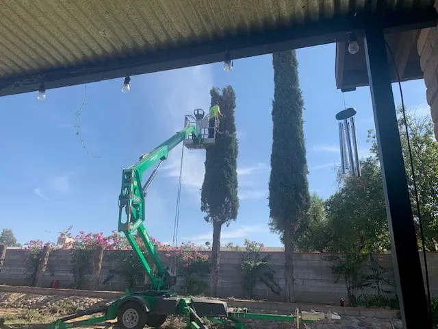 Nicholas Tree Removal Service — customer photo 8