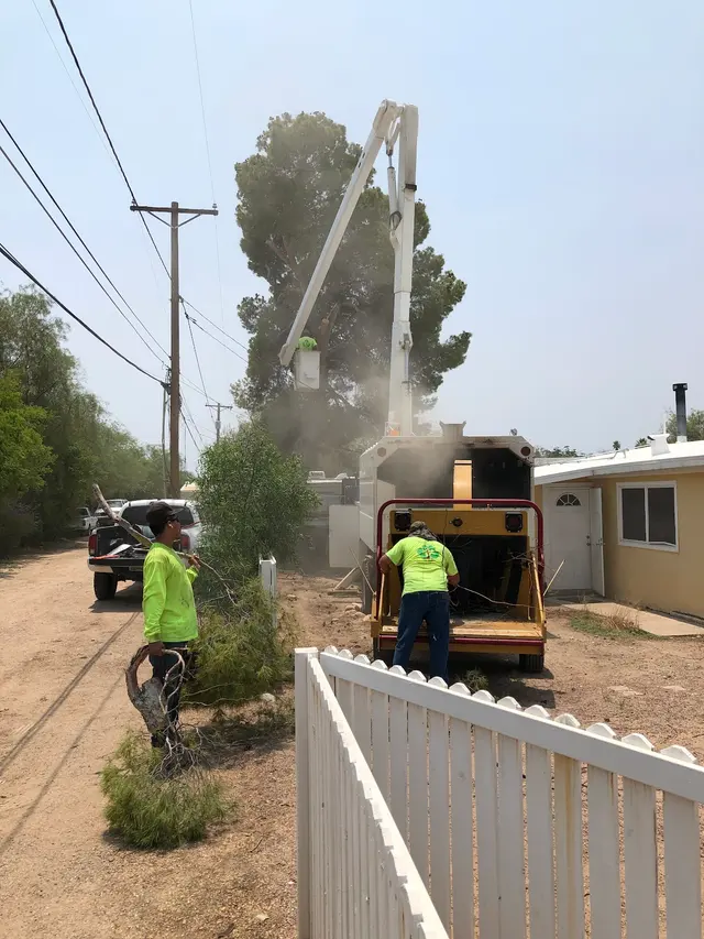 Nicholas Tree Removal Service — customer photo 10