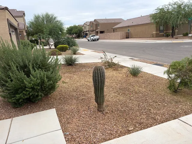 Customer photo of work by Nicholas Tree Removal Service, from Bob Vermeulen's review