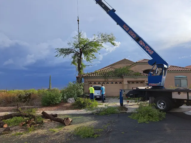 Nicholas Tree Removal Service — customer photo 2