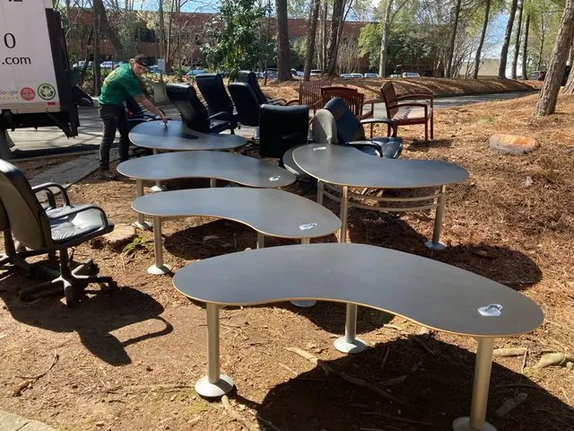 Peachtree Junk Removal — photo from the business 12