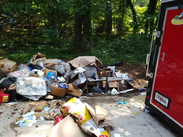 SS PRO JUNK REMOVAL — photo from the business 11